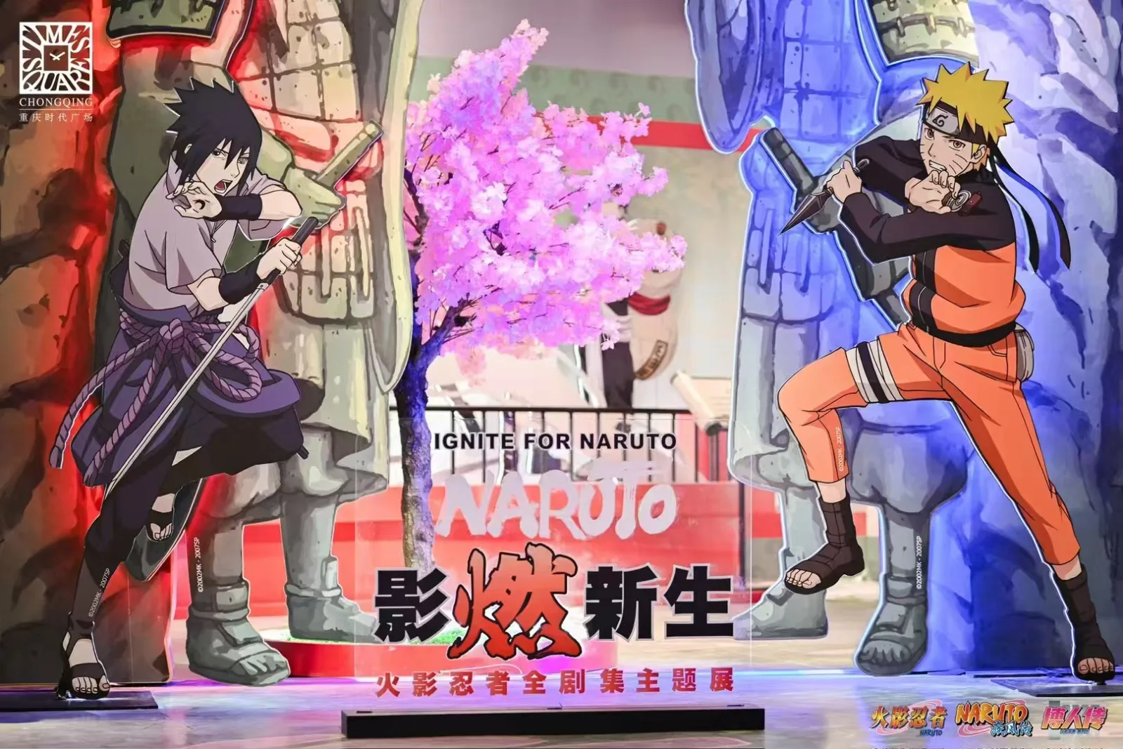 影燃新生